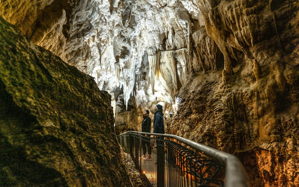 Waitomo Glowworm Caves Guided Tour (Ruakuri Cave Guided Tour) - 3