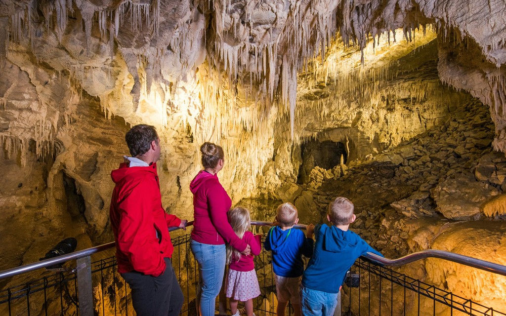 Geführte Tour durch die Waitomo Glühwürmchenhöhlen (Waitomo Glowworm Cave Guided Tour) - 1
