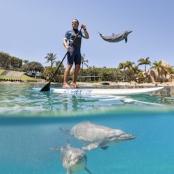 Warner Bros. Movie World, Sea World e Wet'n'Wild Gold Coast: Pass di 14 giorni - 1