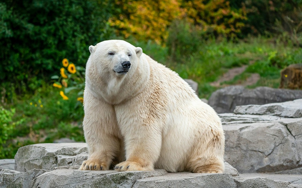 Warsaw Zoo Entry Ticket - 1