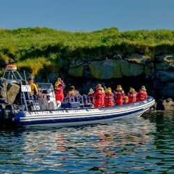 Observació de balenes: visita amb observació de fraillets des de Reikiavik - 2