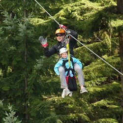 Whistler Ziptrek Ecotours: Zipline Adventure - 1