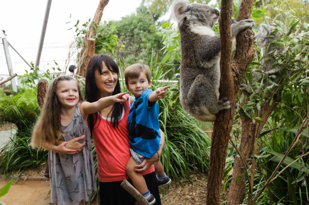 WILD LIFE Sydney Zoo Direct Entry Ticket (Afternoon Admission) - 1