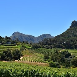 Winelands & Stellenbosch-Franschhoek: prywatna wycieczka degustacyjna wina - 2
