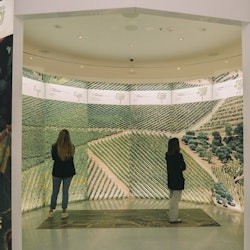 WOW Porto: Bilet wstępu do Muzeum Wina - 3