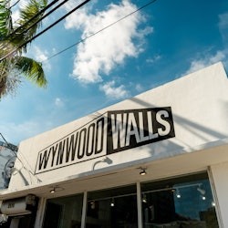 Muros de Wynwood: Entrada General + Experiencia en Buggy Vecinal - 1