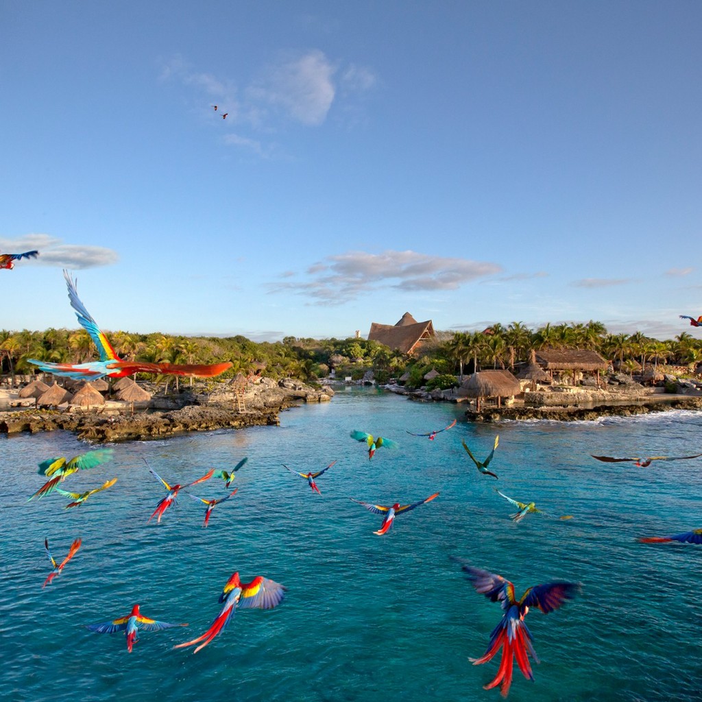 Xcaret Park: Tiquet d'entrada + Transport - Basic - 1