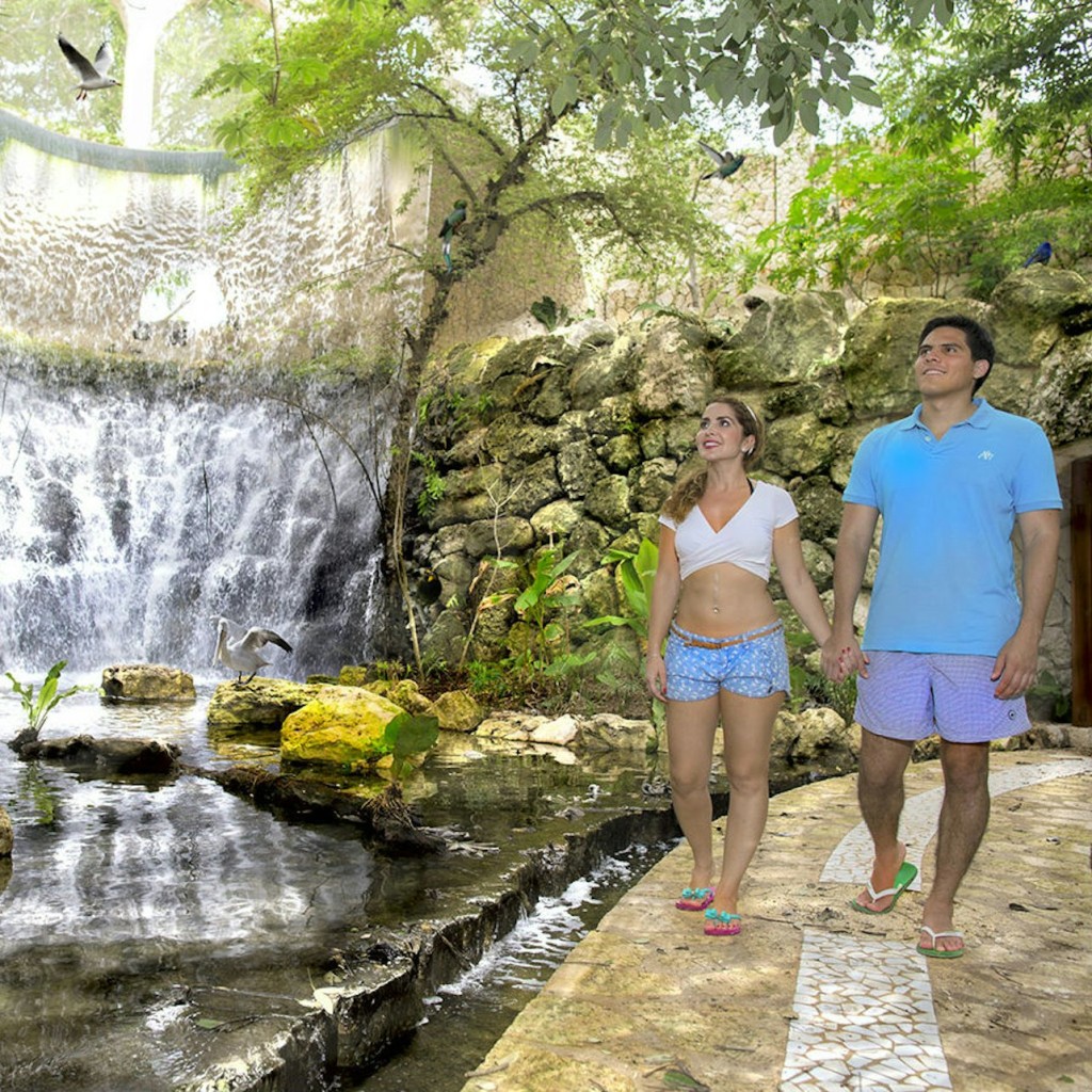 Xcaret Park: Tiquet d'entrada + Transport - Basic - 3
