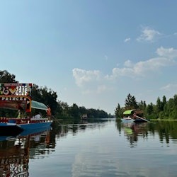 Xochimilco : Excursion en bateau + Transport aller-retour - 1