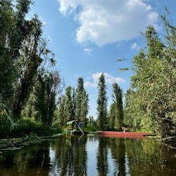 Xochimilco : Excursion en bateau + Transport aller-retour - 3