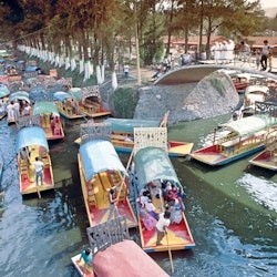 Xochimilco & Coyoacán: Guided Day Tour + Frida Kahlo Museum Entry + Transfers - 2