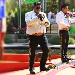 Xochimilco & Coyoacán: Guided Day Tour + Frida Kahlo Museum Entry + Transfers - 3