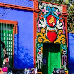 Xochimilco & Coyoacán: Guided Tour + Frida Kahlo Museum Entry + Lunch - 3