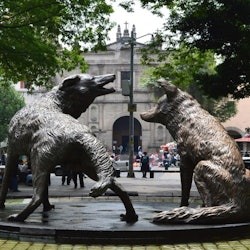 Des de Ciutat de Mèxic: Visita guiada a Xochimilco, Ciutat Universitària i Coyoacan - 2