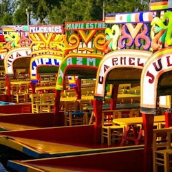 Des de Ciutat de Mèxic: Visita guiada a Xochimilco, Ciutat Universitària i Coyoacan - 3