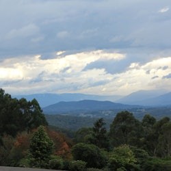 Yarra Valley e Dandenong Ranges: Tour di un giorno da Melbourne + pranzo - 2