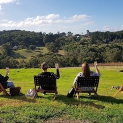 Yarra Valley : Déjeuner et dégustation de vin avec guide + transferts - 2