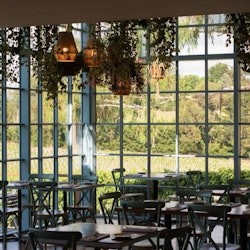 Yarra Valley : Déjeuner et dégustation de vin avec guide + transferts - 3