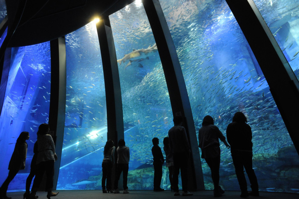 Yokohama Hakkeijima Sea Paradise Ticket (One Day Pass) - 1