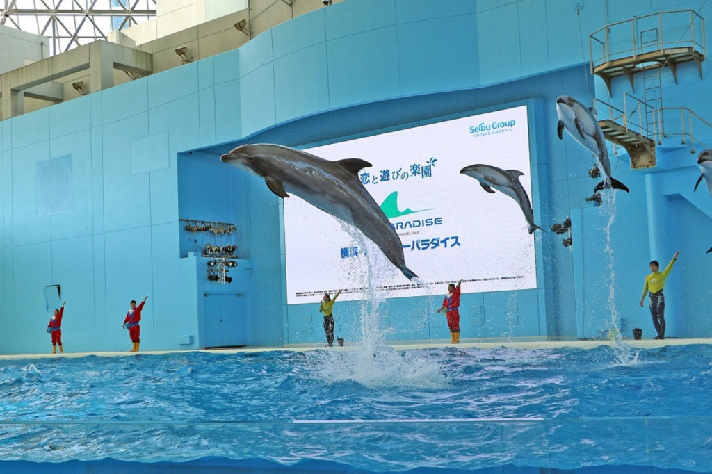 Yokohama Hakkeijima Sea Paradise Ticket (One Day Pass) - 2