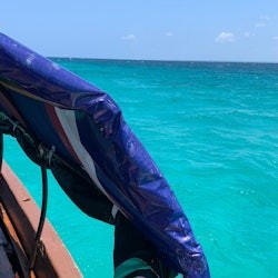 Zanzíbar: Excursió per nedar amb dofins - 2