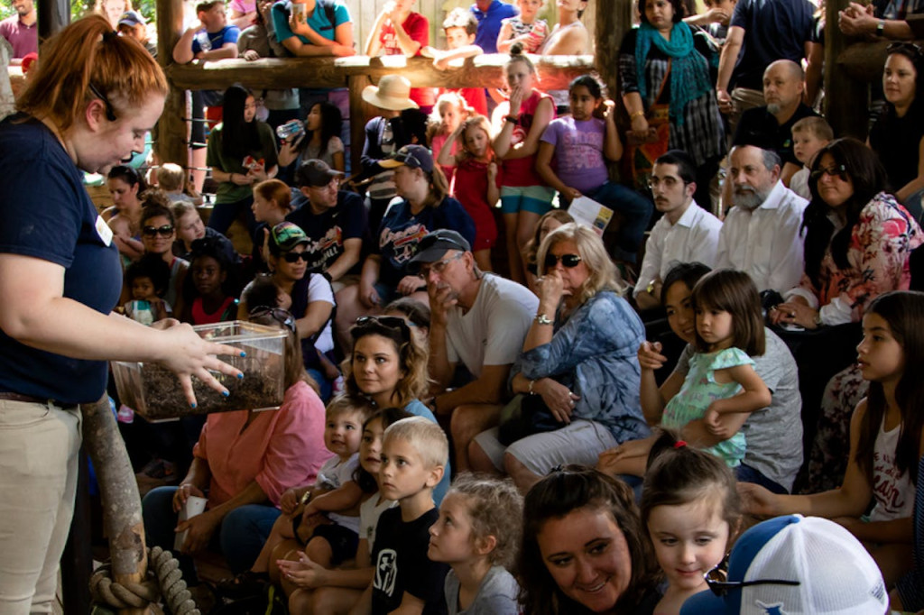 Zoo Atlanta Entry Ticket (Admission (Friday-Sunday)) - 1
