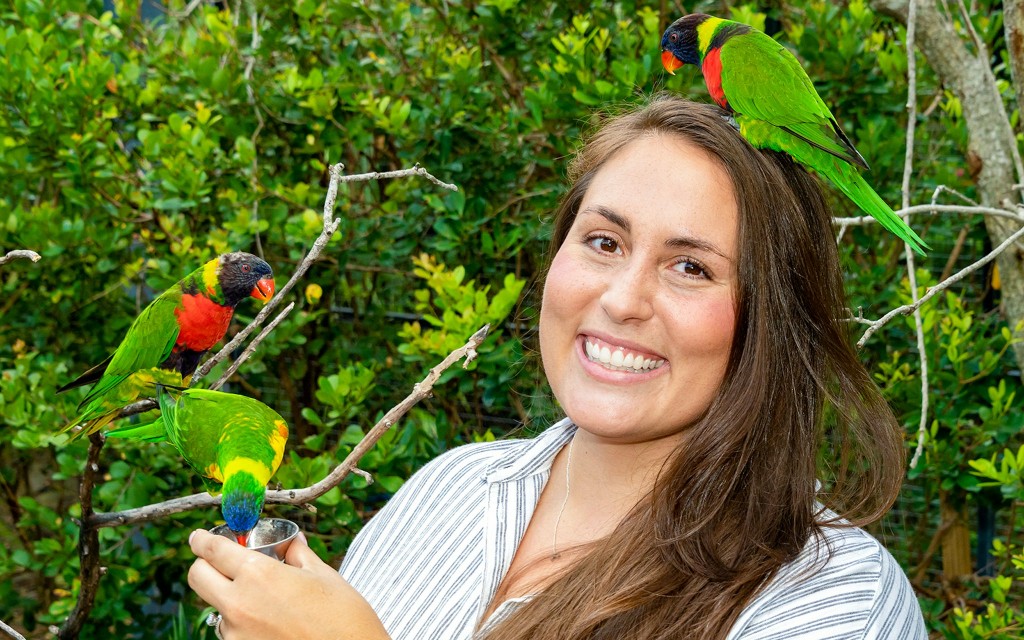 Billets pour le Zoo de Miami : Groupe de 4 et plus (Zoo Entry: Group of 4 & More) - 3
