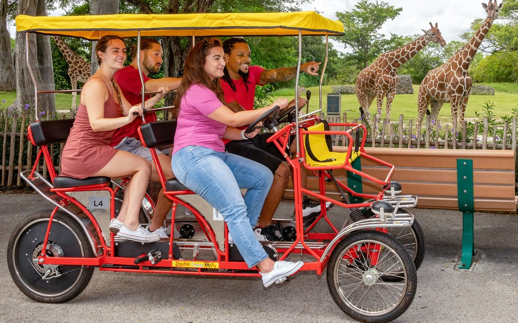 Zoo Miami Tickets (Zoo Entry) - 2