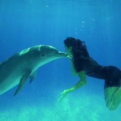 Zoomarine Roma: Entrada reservada amb l'experiència Dolphins - 2